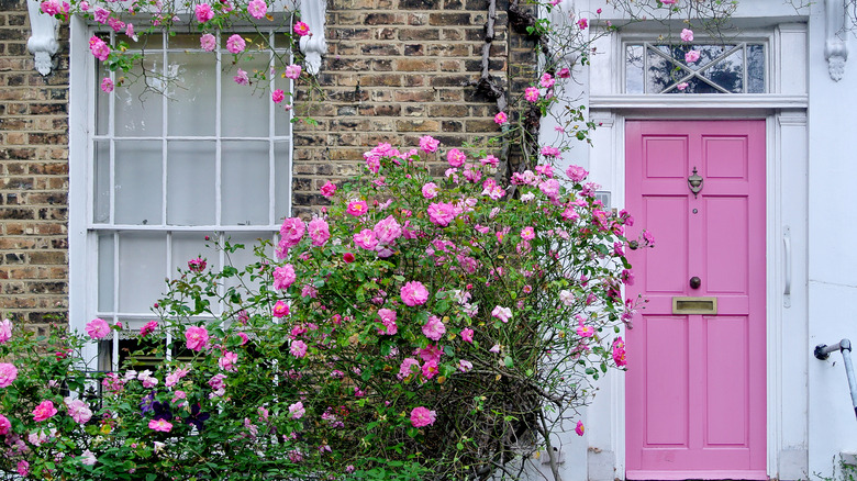 Pink exterior door