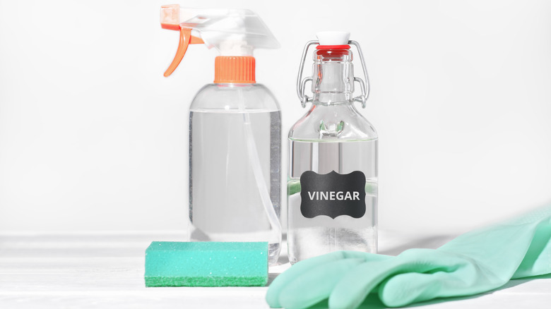 Vinegar in spray bottle