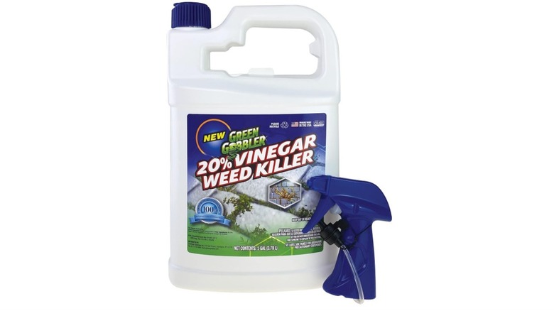 A bottle of Green Gobbler 20% Vinegar Weed Killer