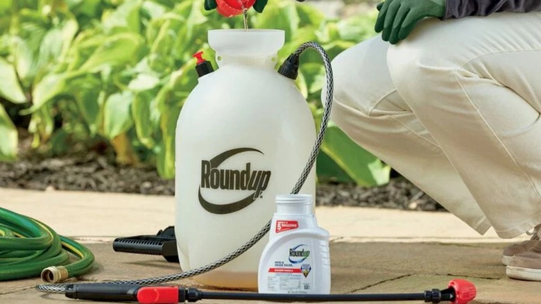 A person filling a Roundup sprayer