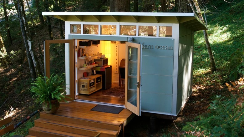 tiny house in Redwood forest