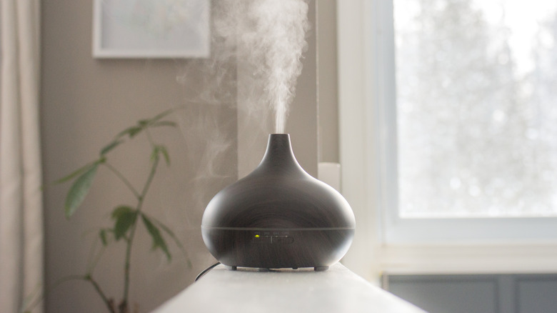 steam diffuser