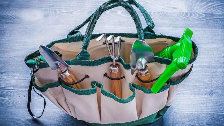 garden tools in bag