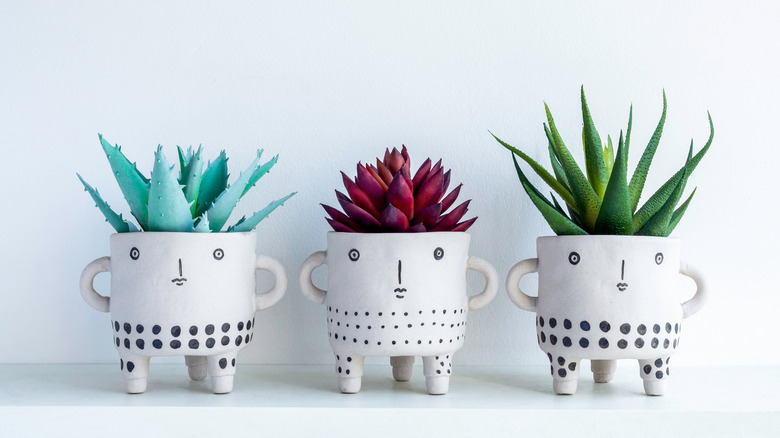 decorative planters