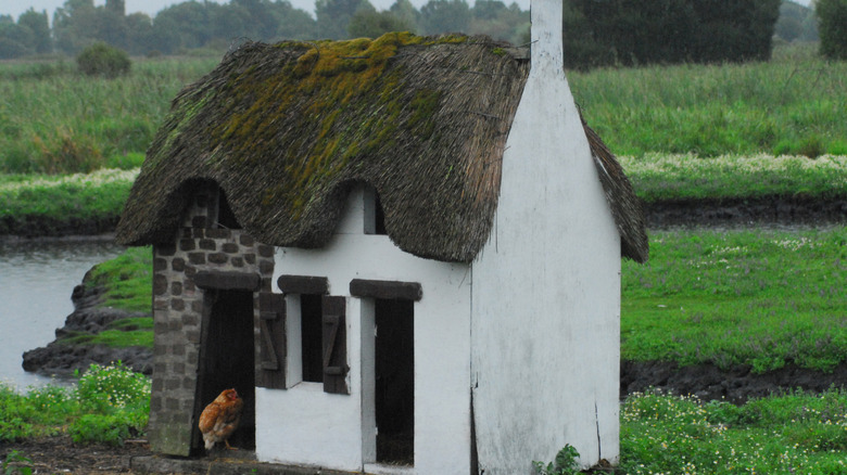 A farmhouse coop