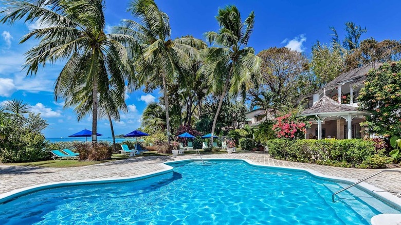 palm trees around a pool