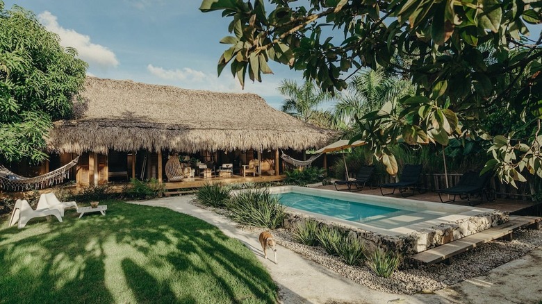 home with a grass roof