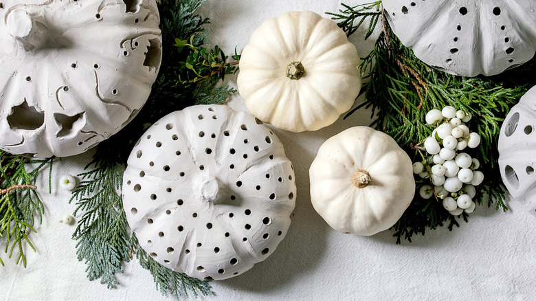 white pumpkins and fir