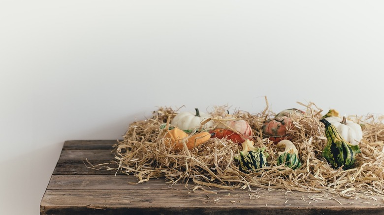 fall hay table decor