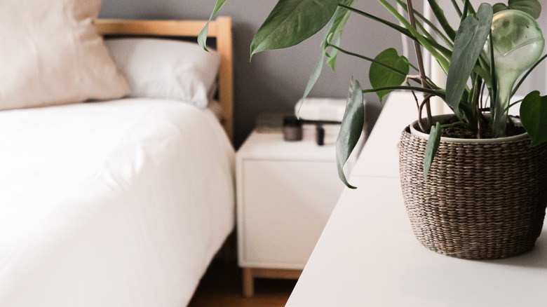 minimalist modern bedroom 