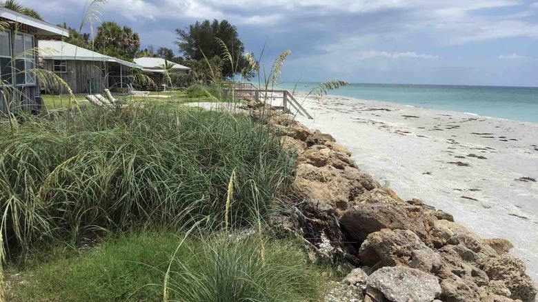 Cottage with Gulf of Mexico views Airbnb 