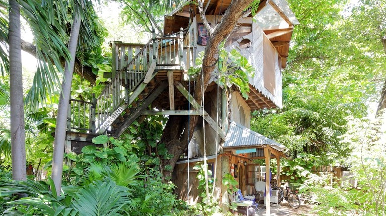 Permaculture Farm Treehouse in Miami