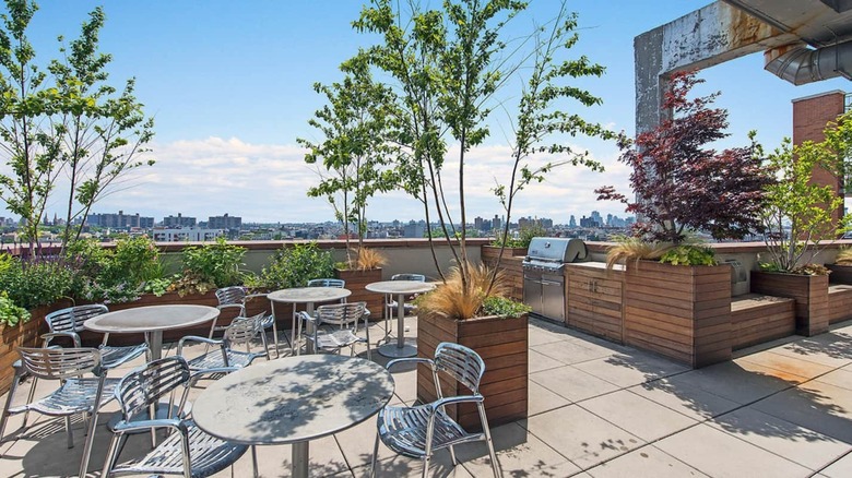 Williamsburg penthouse Airbnb 
