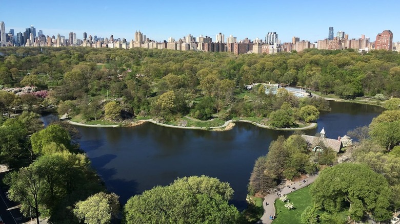 Airbnb with central park views NYC 