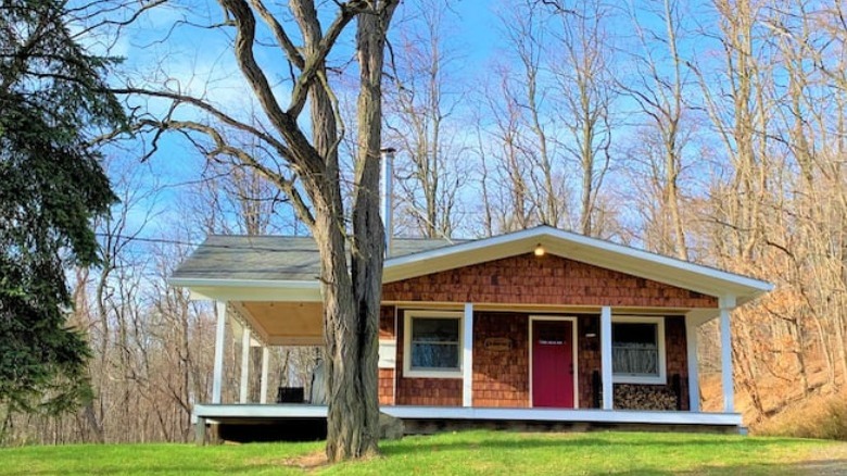 chalet by tree