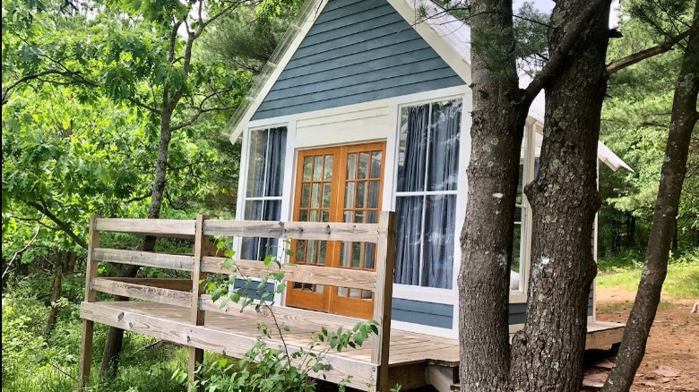 tiny house by trees