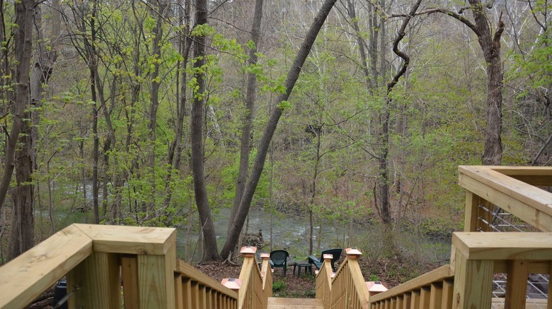 Porch steps into nature