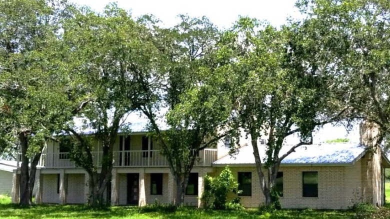 line of trees by house