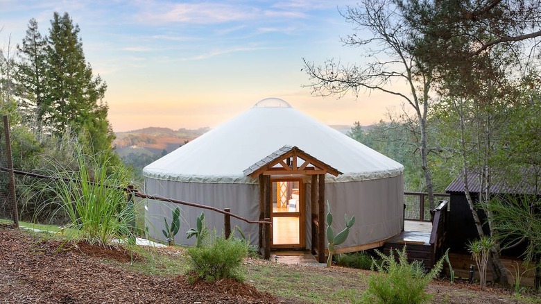 Yurt with vineyard views Airbnb 