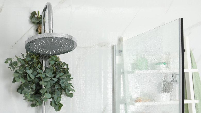 Shower head with eucalyptus