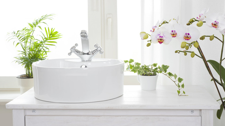 Bright bathroom with plants