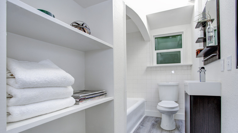 Narrow bathroom with bookshelf