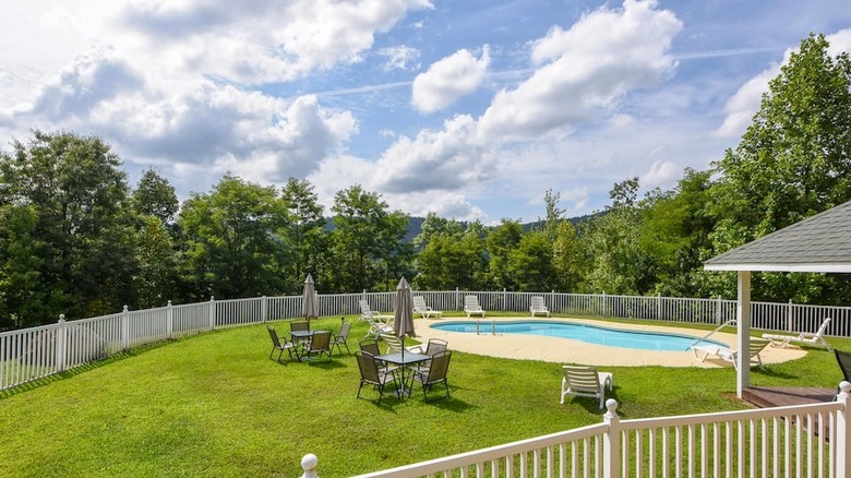 pool in green yard