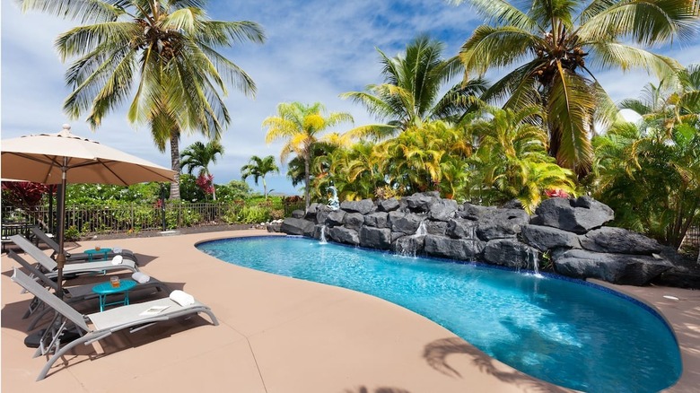 pool with rocks and palms