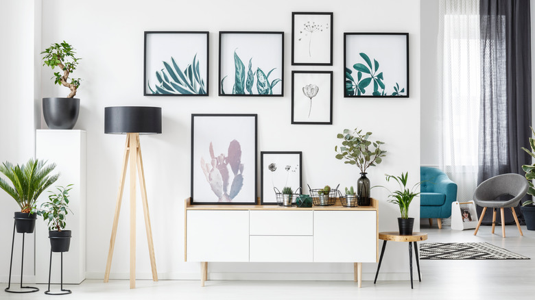 wall with pictures of plants