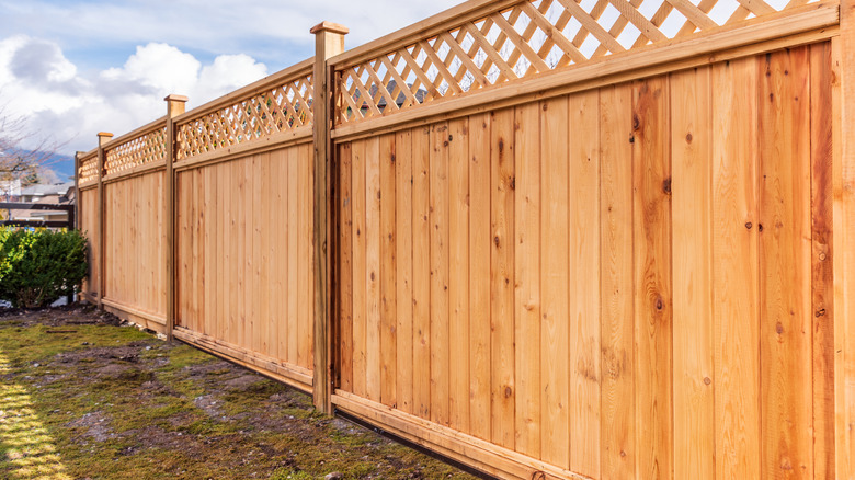 Wood privacy fence