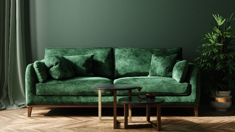 Green sofa in green room