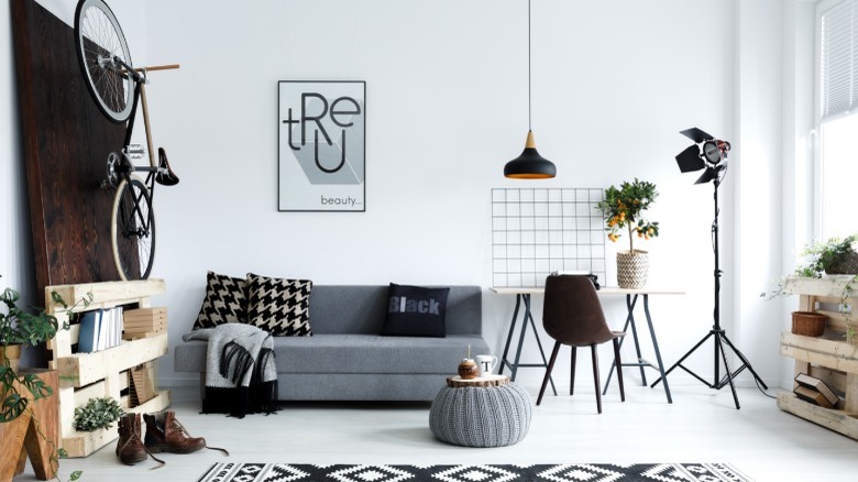 Modern stylish living room