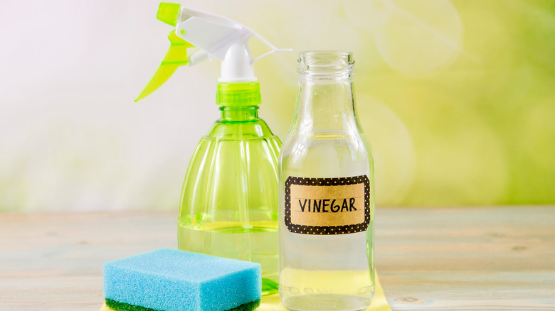 vinegar cleanser spray