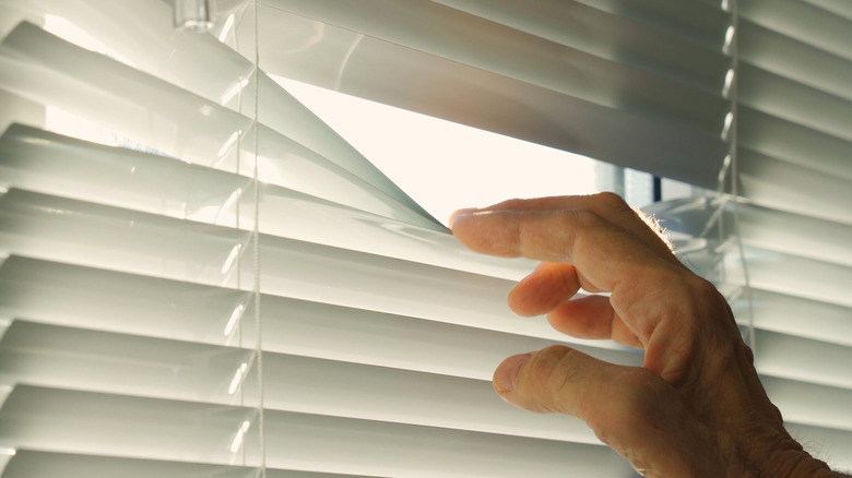 hand holding white vinyl blinds open