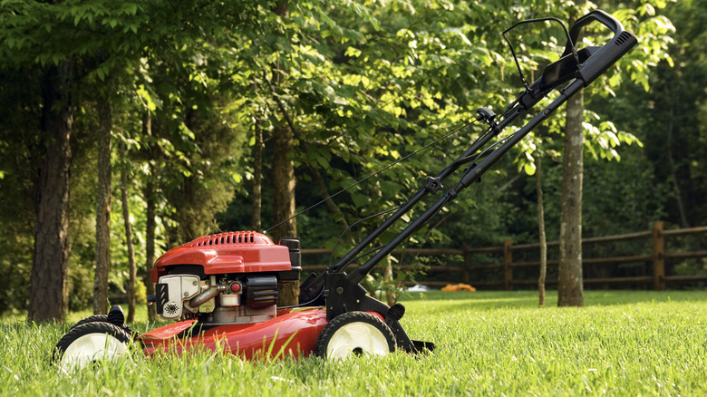 Lawnmower in a yard