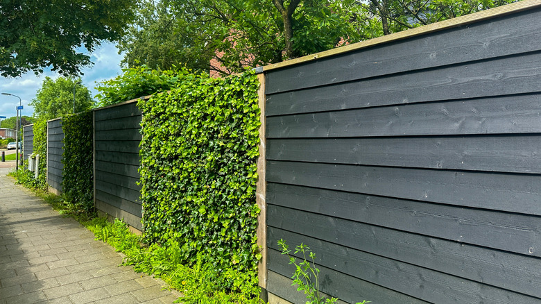 Tall black fence