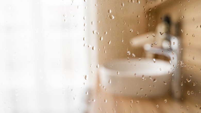 view through shower screen