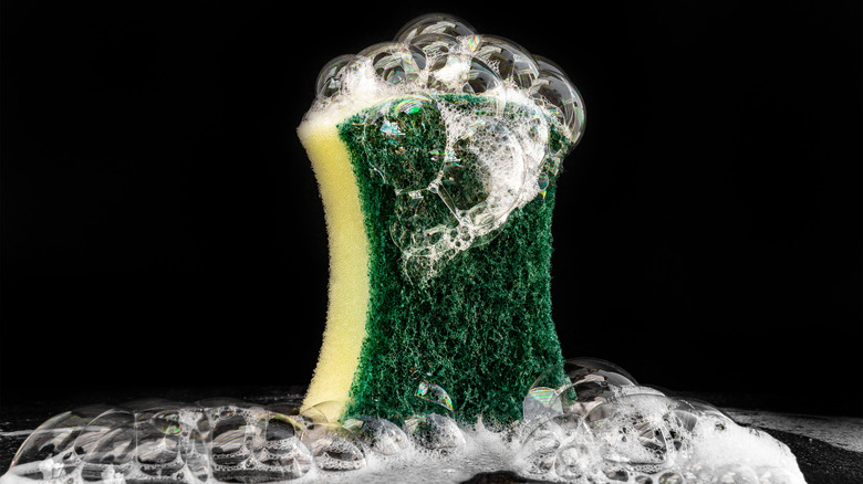 Close-up of a soapy sponge