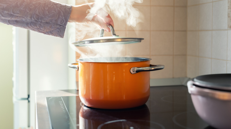 Pot on stovetop with steam 