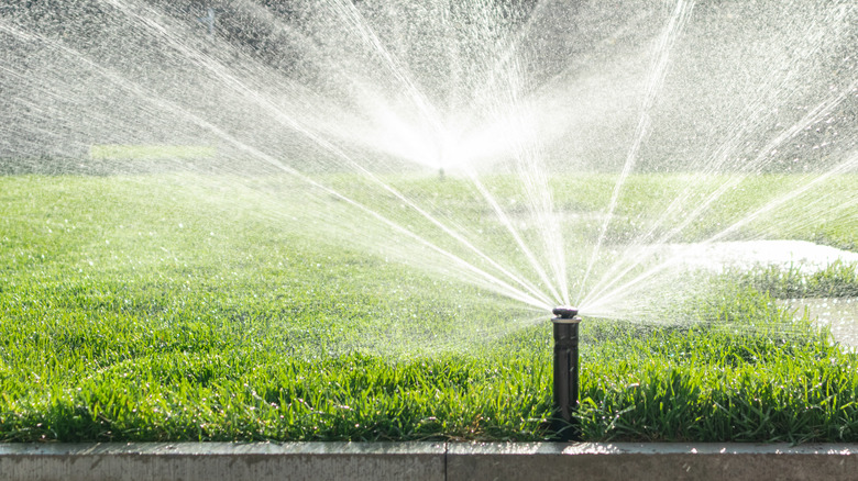 Automatic sprinkler system