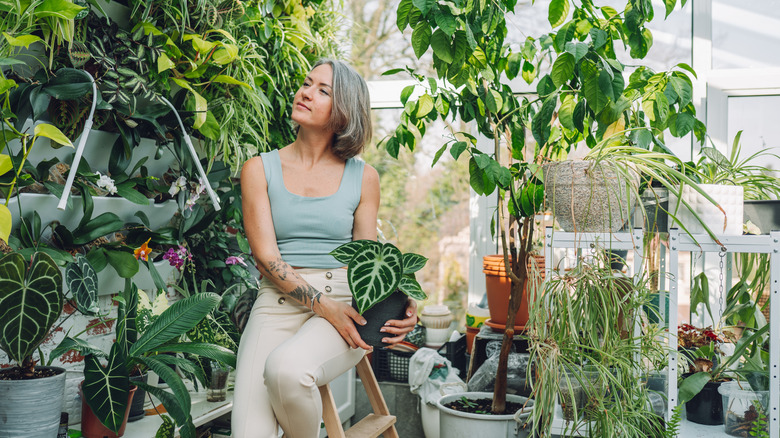 A woman sitting on a short ladder is surrounded by houseplants on shelves and wall hangings.