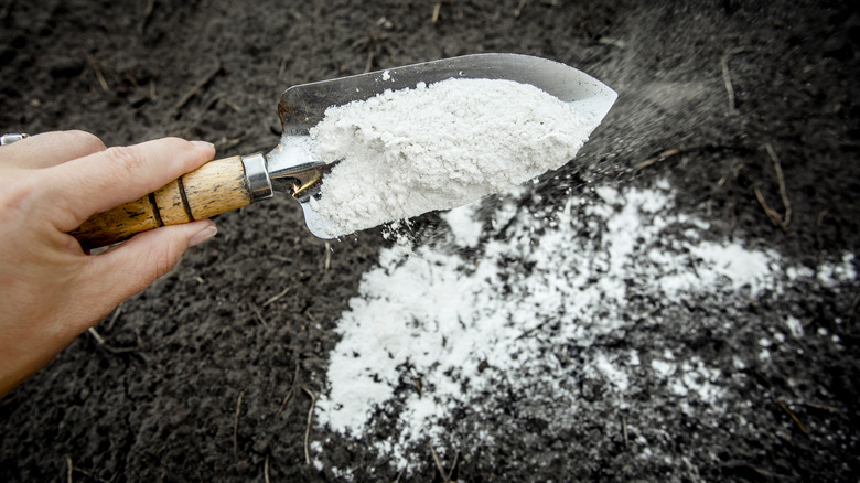 Trowel sprinkling white powder 