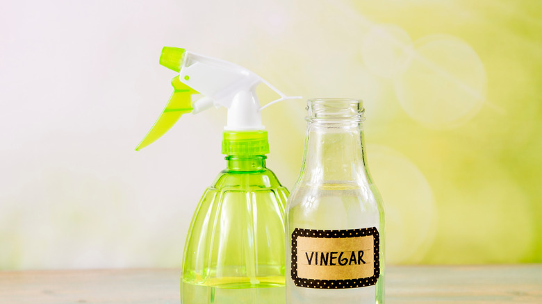 Bottle of vinegar with a spray bottle and sponge