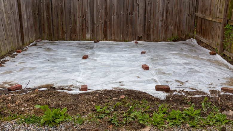 plastic tarp kill weeds