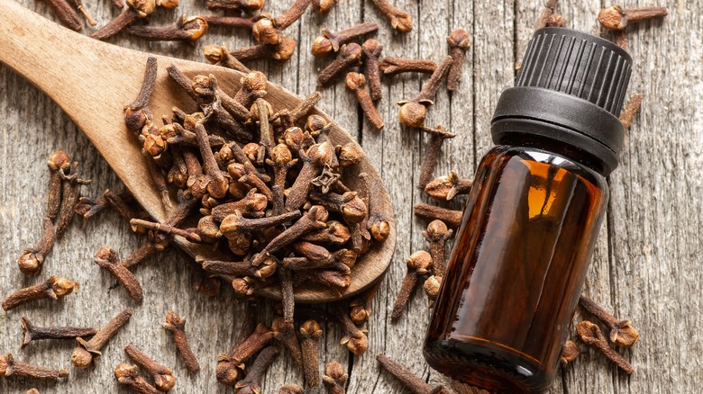 Cloves and clove essential oil