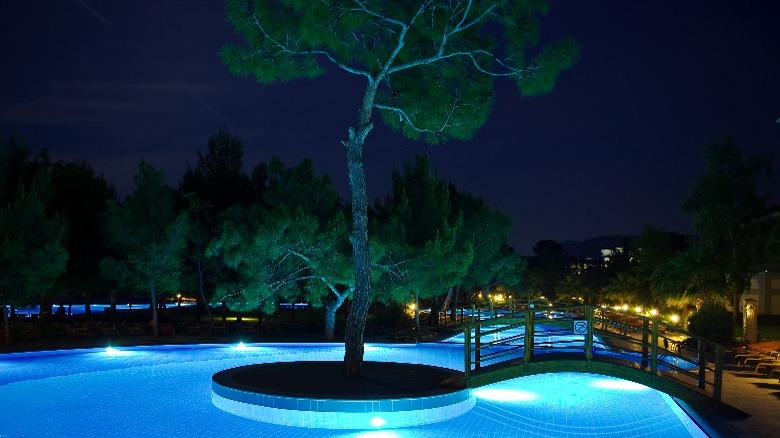 Pool with little tree island