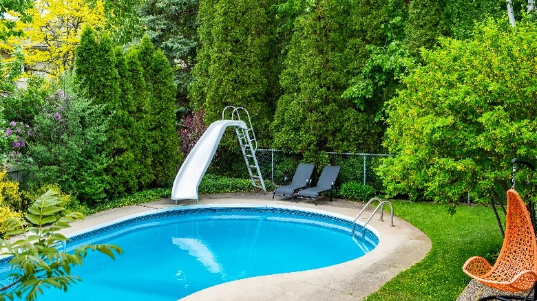 pool surrounded by trees