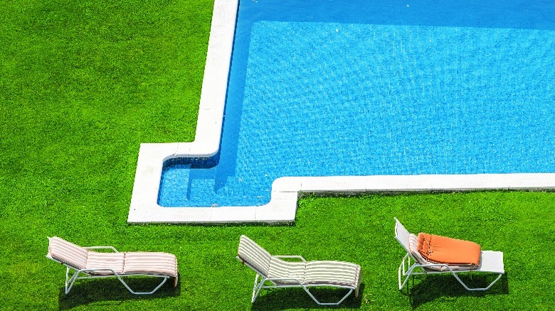 pool on lush green lawn