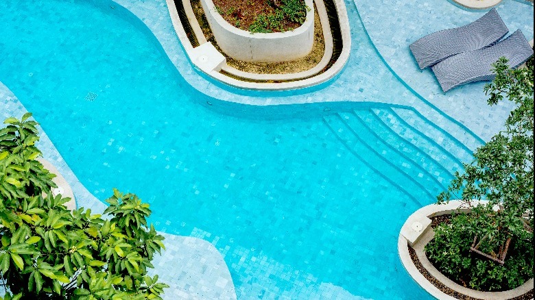 plant peninsulas in pool