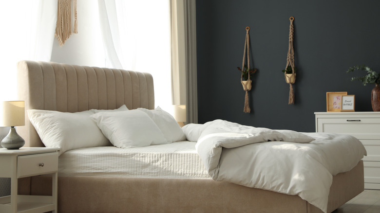 black bedroom with hanging plants